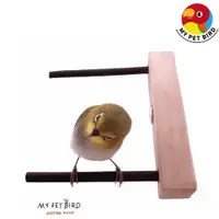 在飛比找蝦皮商城優惠-MY PET BIRD 綠繡眼雙站棍組合｜符合綠繡眼快速移動