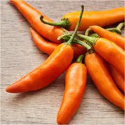 Chilli - Cobra Orange seeds