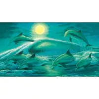 在飛比找博客來優惠-【台製拼圖】海豚追逐 夜光拼圖 (2000片) HM2000