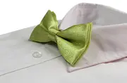 Mens Lemon Sparkly Glitter Patterned Bow Tie
