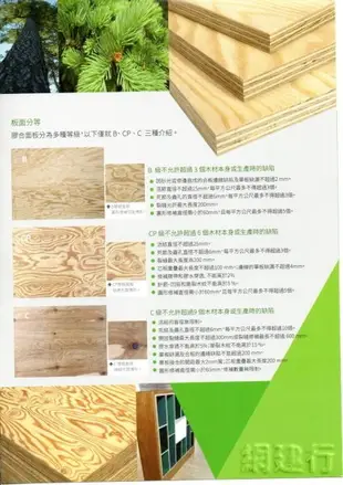 網建行® PlayWood【落葉松 結構用合板】 厚度18mm 缺貨停售 傢俱製造 地板鋪設 建築材料