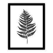 Fern Leaf black & white Art Framed print