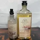 Bath Body Work REFRESH YOUR BODY - CEDARWOOD YLANG YLANG oil mist & body wash