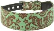 Evans Collars 1 1/4" Shaped Collar, Size 18, Damask, Chocolate Mint