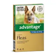 Advantage Blue Extra Large Dog 25-50kg 4 pack (4 months)