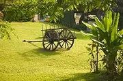 Domaine de Severin Rum Distillery, and Sugar Cane Cart, Guadaloupe, Caribbean Poster Print by Walter Bibikow (36 x 24)
