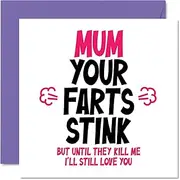 Funny Birthday Card for Mum - Your Farts Stink - Rude Birthday Card for Mum Birthday Cards Gifts, 145mm x 145mm Joke Humour Mother's Day Greeting Cards for Mama Mam Mom Mummy Mammy Mommy
