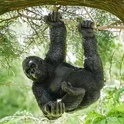 The Enchanted Garden Hanging Gorilla Resin Large Garden Statue Outdoor Ornament Black