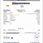 蝦皮拍賣簽証類賣出數及評價最多！超專業代辦 杜拜(阿拉伯聯合大公國) 單次30天入境 電子簽證