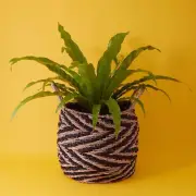 14" Small Zig Zag Seagrass Planter Shelf Basket