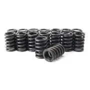 Engine Pro 02-1020-16 Valve Springs 1.463" OD 1.064" ID 252# Similar Comp 940-16