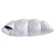 Dr. Pillow Nano-cell pockets Hybrid Ice Pillow | White.