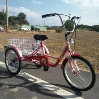 在飛比找蝦皮購物優惠-20吋/24吋腳踏車三輪車，可安裝寶寶安全椅