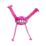 Rogz Flossy Grinz Pink