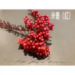 永生花 -米香 （紅、金、銀）聖誕節 花材