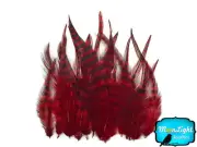 1 Dozen - SHORT RED Grizzly Rooster Hair Extension Feathers