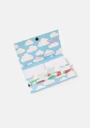 [A Shop of Things] Watermelon Flavor Fuck Off Rolling Papers