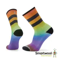 在飛比找Yahoo奇摩購物中心優惠-官方直營 Smartwool 局部輕量減震條紋運動中長襪-P