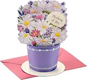 Hallmark Paper Wonder Pop Up Card (Daisy Flower Bouquet) for Mother's Day, Spring, Birthday, Thinking of You, Congrats, or Any Occasion