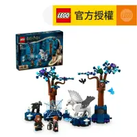 在飛比找友和YOHO優惠-LEGO® Harry Potter™ 76432 Forb