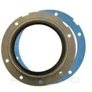 Permaseal Oil Seal - OSS0278