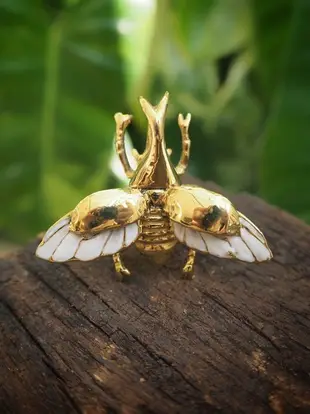 Flying Rhino Beetle Ring in Brass With White Enamel Wings. Adjustable Size.