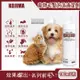日本KOJIMA-寵物專用去污除臭免沖洗綿密泡沫貓狗毛髮清潔劑190ml/瓶(膠原蛋白,植萃低敏,保濕護膚,弱酸配方)