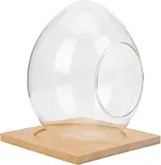 YARNOW 1 Set Glass Terrarium with Base Succulent Plant Display Bottle for Desktop Decor Egg Shaped Hydroponic Planter for Home Office Decoration