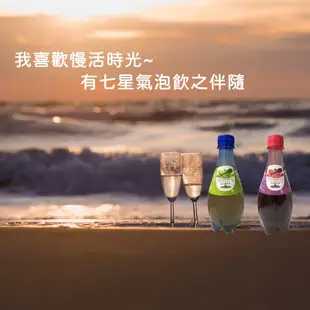 【七星】無酒精香檳汽泡飲370mlx24入/箱(白葡萄/紅葡萄/無酒精)新包裝上市!