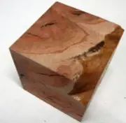 Coolabah Burl (1 pc) Cube 3" - 1860
