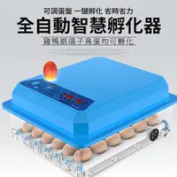 在飛比找PChome24h購物優惠-佳裕 110V孵化機 孵蛋器36枚孵蛋機 雙電源可接12V 