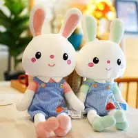 在飛比找樂天市場購物網優惠-兔子毛絨玩具可愛小號玩偶女孩子生日禮物睡覺安撫娃娃小白兔公仔