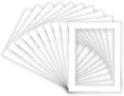 8x10 Mat for 6x8 Photo - Precut White on White Double Mat Picture Matboard for Frames Measuring 8 x 10 Inches - Bevel Cut Matte to Display Art Measuring 6 x 8 Inches - Acid Free ONE MAT