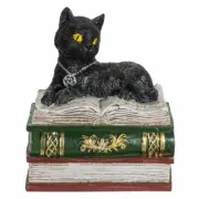 Magic Wiccan Black Cat Trinket Resin Figurine Box