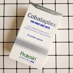 【現貨✅開發票】Protexin Cobalaplex 可萊適 60顆