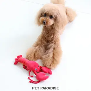 貝果貝果 日本 pet paradise 立體龍蝦啾啾玩具 [T377]