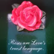 Vintage Signs of Spring Rose Love Religious Pin Brooch Spiritual Bible Scripture