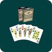 Generic 2 Decks Waterproof Plastic Playing Cards, Four Color Faces, Large Print (2 Deck Pack)