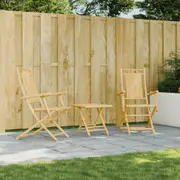 Folding Garden Chairs 2 pcs 53x66x99 cm Bamboo vidaXL