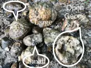 5LB Lot GEODES Explore Discover Fossil SMALL GEODES .5-4" IN Kids Palm Size Fun