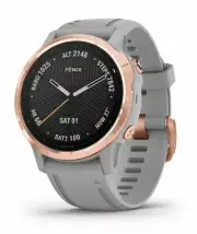 Garmin Fenix 6S Sapphire 42mm Case with Silicone Band GPS Running Watch - Powder