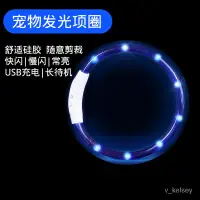 在飛比找蝦皮購物優惠-寵星記 狗狗髮光項圈 寵物狗LED燈項圈 USB充電 夜間髮