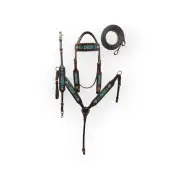 western Leather Equestrian Tooled Beaded Headstall,Breast Collar & Reins. (H028)