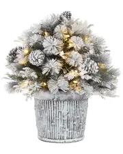 National Tree Company 22in Snowy Chiwaw Basin Tree With Led Lights