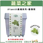 【蔬菜之家】IPLANT小農場系列-香薄荷 (綠薄荷 野薄荷 青薄荷)提神 可作調味料用