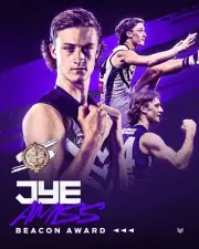 FREMANTLE DOCKERS AFL FOOTBALL CHAMPION TEAM PLAYER POSTER, BARGAIN,2