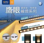 【燈王的店】舞光 LED 12W 防水鷹眼線燈 廣角投射燈 洗牆燈 大樓輪廓燈 可串接 OD-FI12WR1