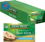 Tuna Tempters Slices in Springwater 12 X 125 G