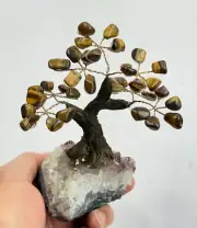Tiger Eye Gem Tree/Crystal Tree (S) 7 branches, 35 Crystals TR048