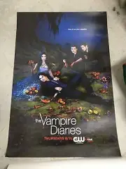 THE VAMPIRE DIARIES TVD Poster PAUL WESLEY CW Ian Somerhalder NINA DOBREV Rare!